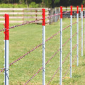 Cheap Steel Fence Widely Used T Posts for Sale